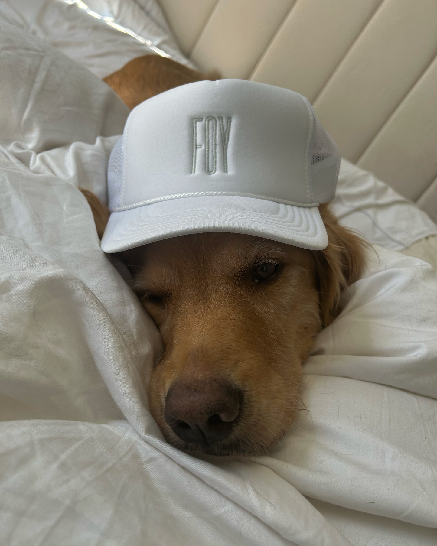 FOY TRUCKER HAT!